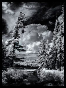 Brown Tract Pond (1 of 1)